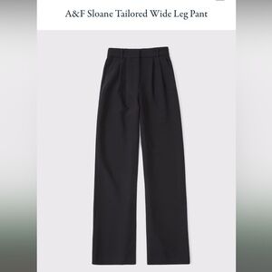 A&F Sloane Tailored Wide Leg Pant Size 25